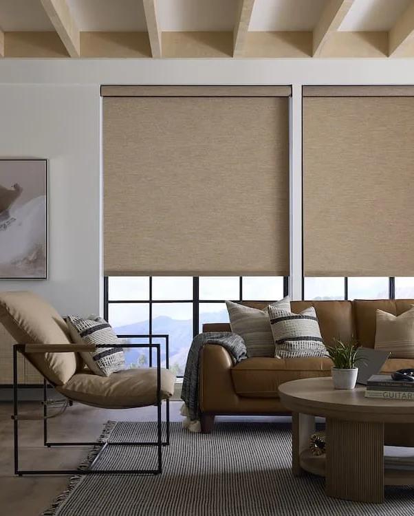 Modern roller shades in a warm living room