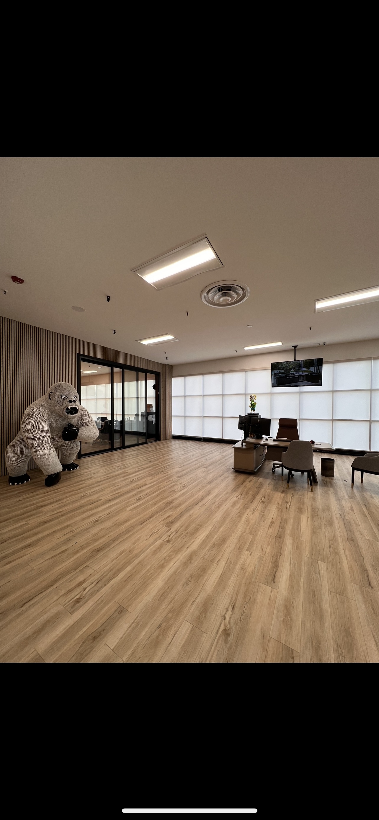Real ShadeSpot install: light-filtering roller shades across a window wall in a large open-plan studio