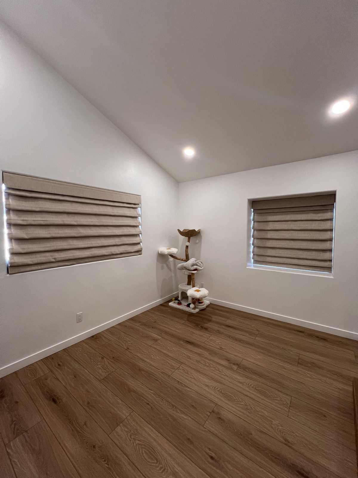 Blackout Roman shades on two bedroom windows