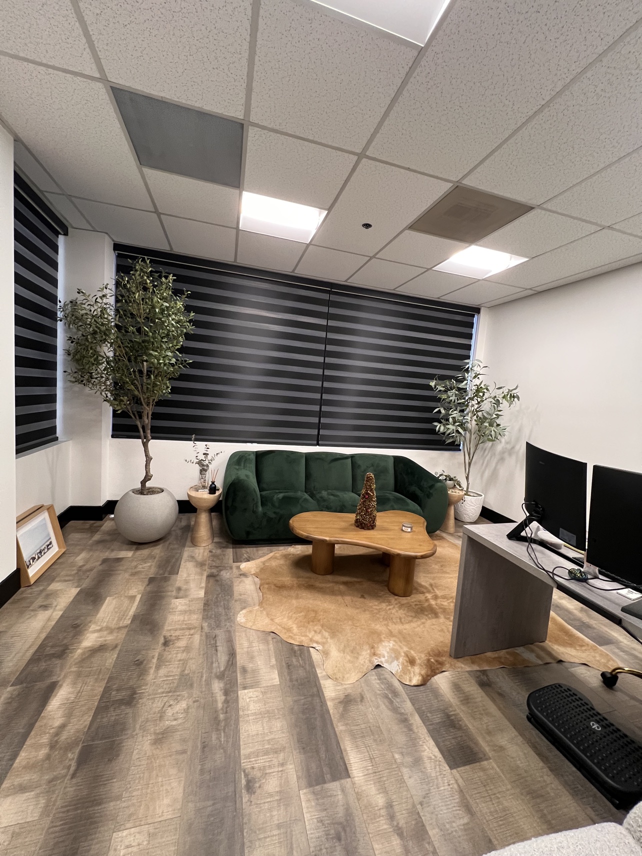 Furnished lounge area with black zebra shades behind a green sofa