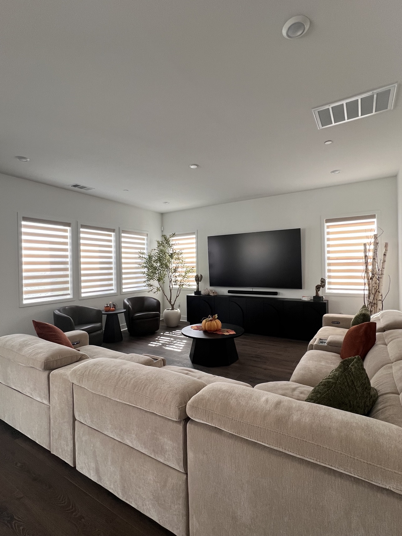 Zebra shades across five living-room windows